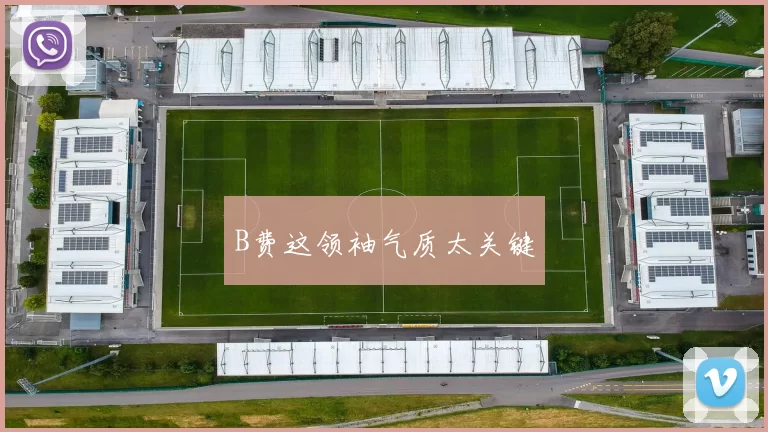 B费这领袖气质太关键