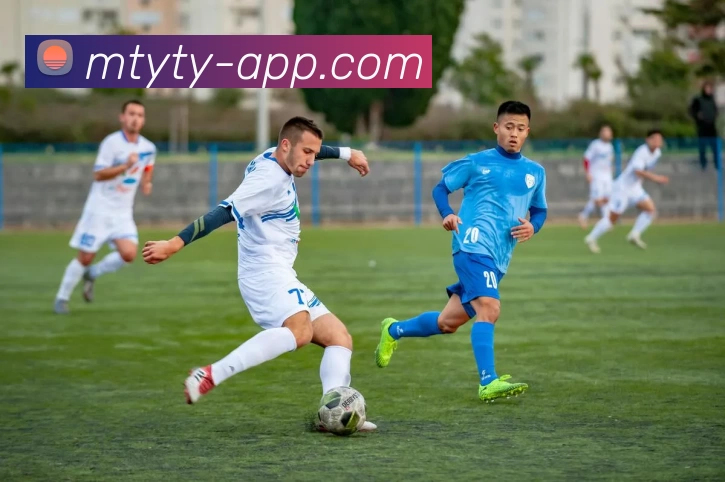 猫头鹰体育APPAPP 封面图